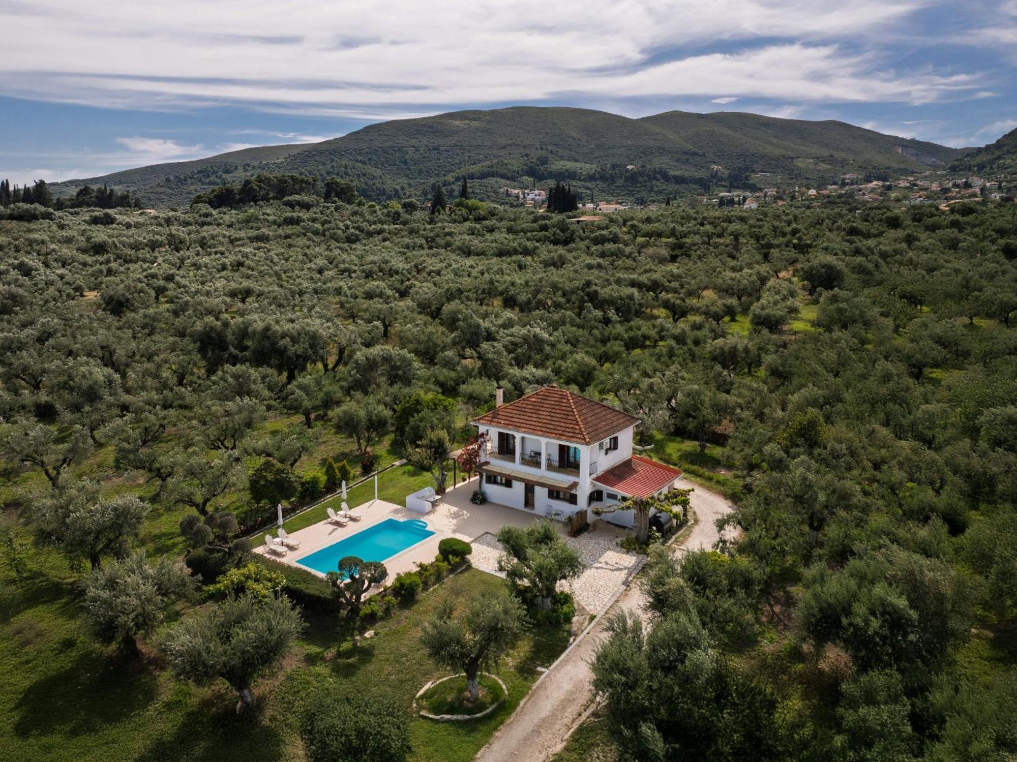 Villa Lola - 3 Bedrooms & Private Pool Lithakia  المظهر الخارجي الصورة